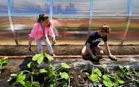 Students plant for New Horizons for NH